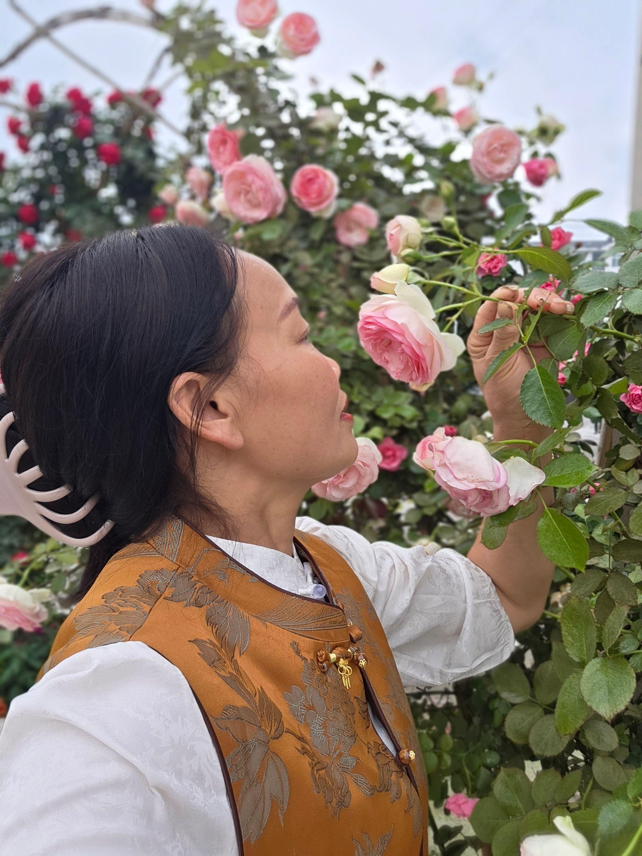 春风吹花己开，春天来了你没来。说好一起看花海，你究竟何是来？🌹🌹🌹