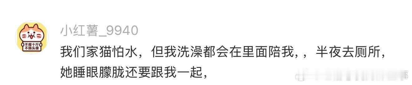 小猫咪能感受到自己被爱着吗？ 