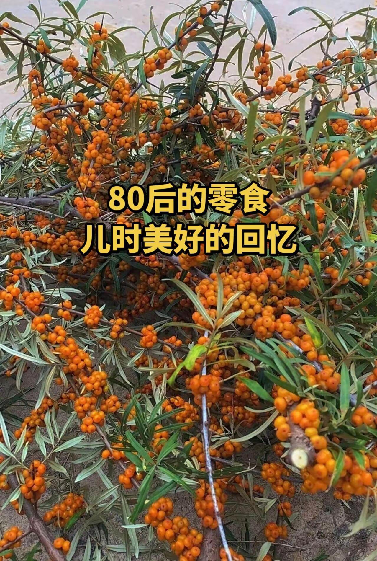 岁月催人老人生如过客 儿时的味道