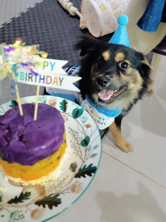 祝我们家的老幺七月生日快乐～