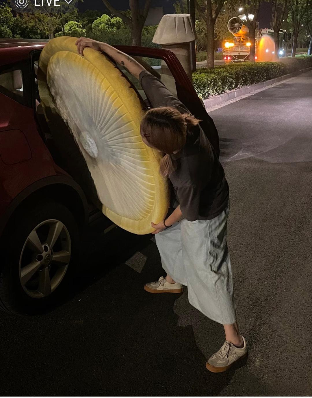 半路捡的也不知道是什么东西