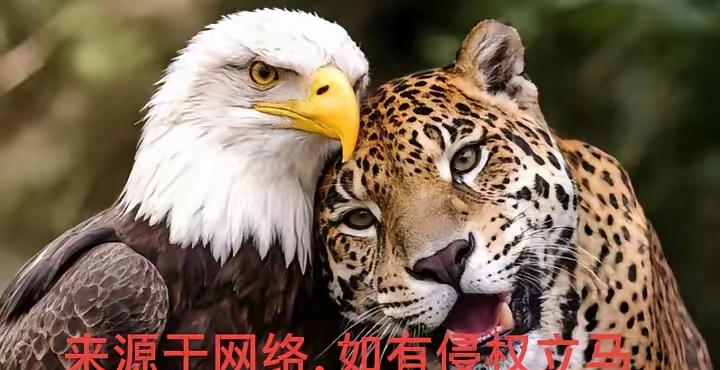 4号还不可一世的哥伦比亚总统，前天和特朗普通话15分钟后，在平台上发布了这张图片