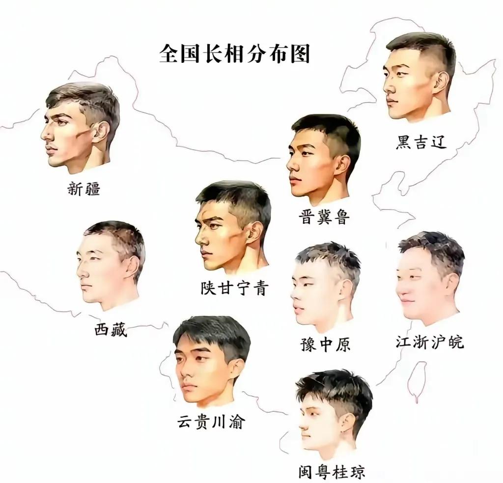 我国大陆各地人长相区别图示。北方人一般五官立体，分布匀称，且身材高大挺拔。越往南