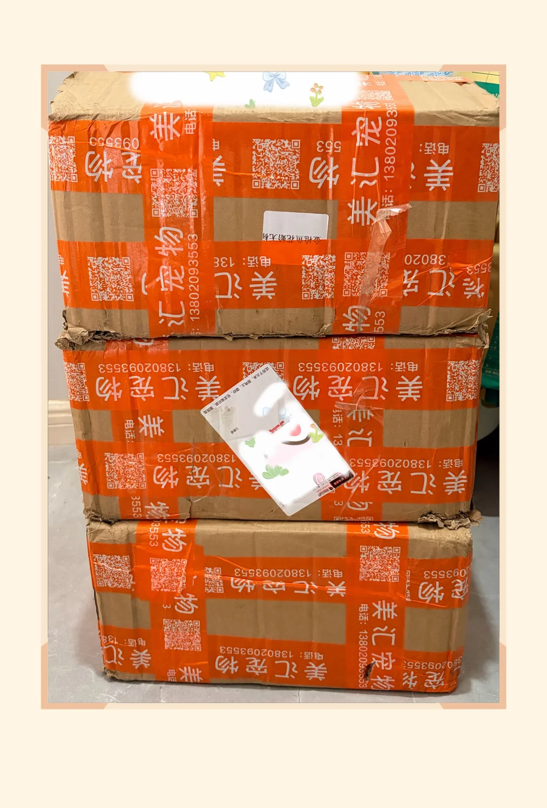 替毛孩子们谢谢姨姨寄来的爱心罐罐🥫