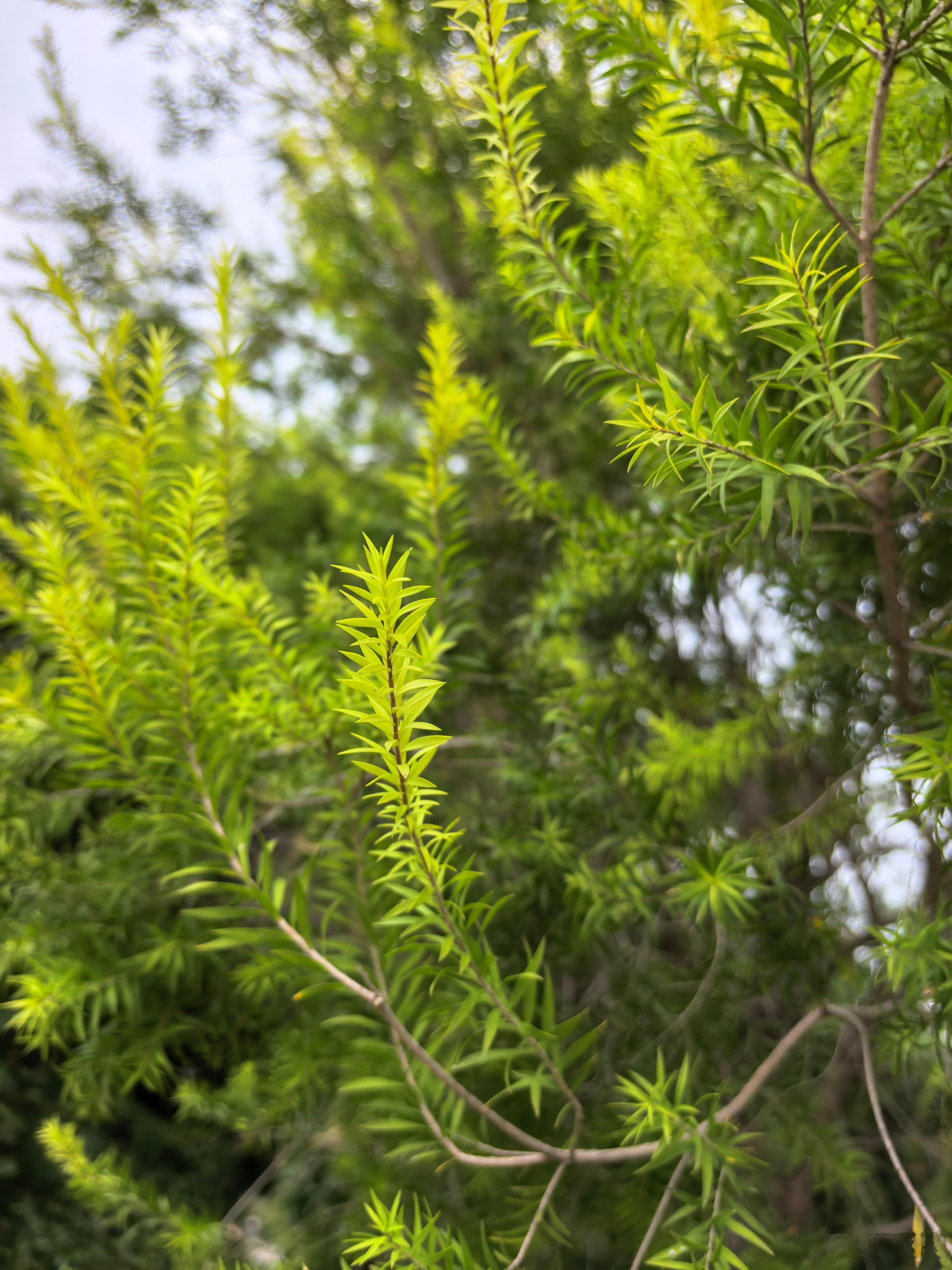 ‍随手拍 转身未曾万物空，只是已经多少年。 ​​​