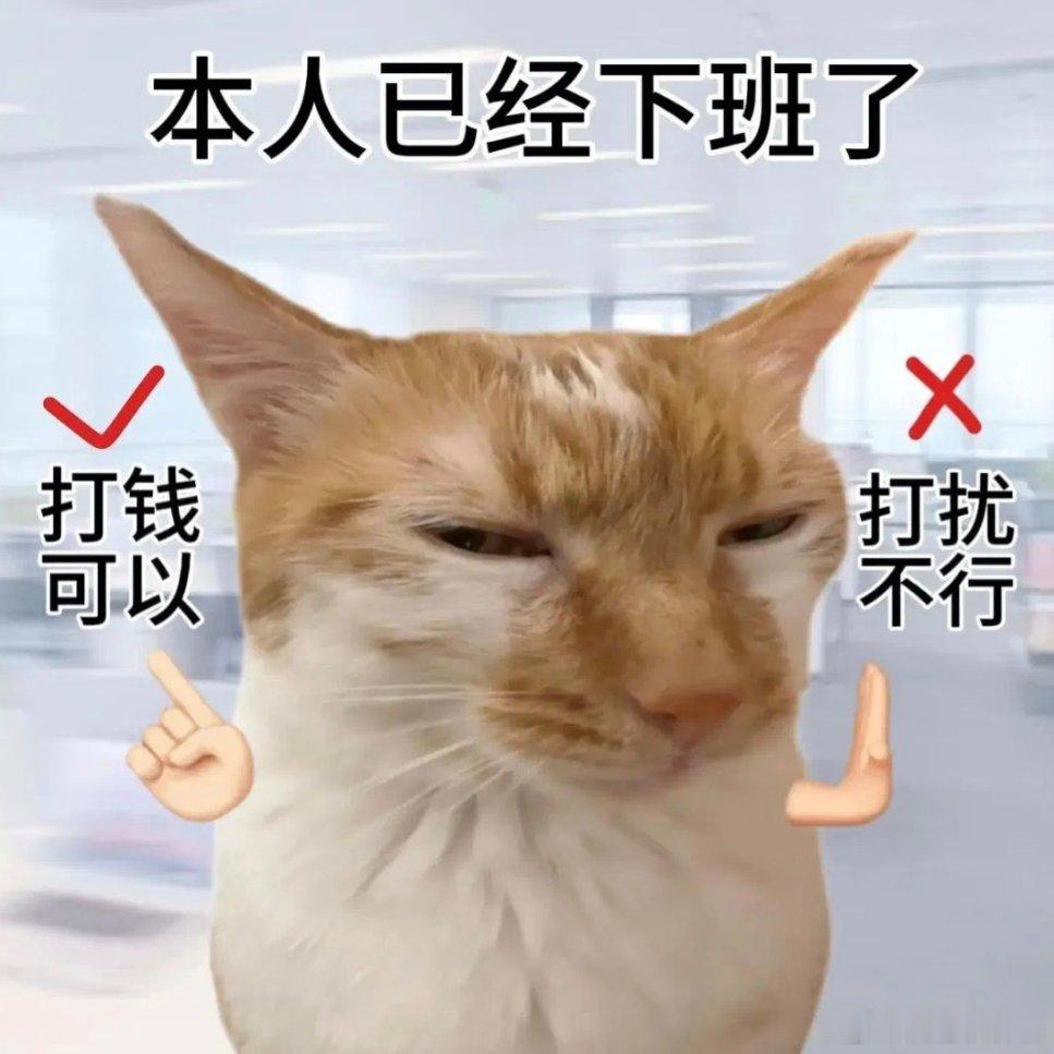 成年人的体面就是周末勿扰工作日被工作、琐事、人情填满，紧绷了整整五天，周末是独属