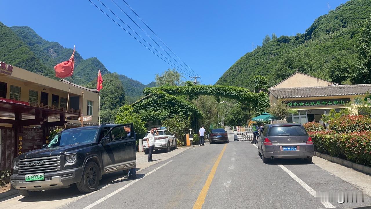 【鹧鸪天•夏至】
万里晴空夏至天，彤云淡影日炎炎。
林深峪静蝉声噪，叶茂风轻鸟语