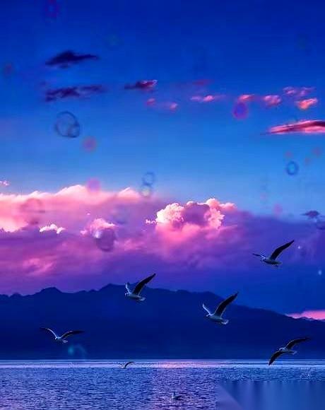 退休了，只要家里还有口饭吃，打死也别再出去找活儿干。
我这话说的有点绝，但你细品