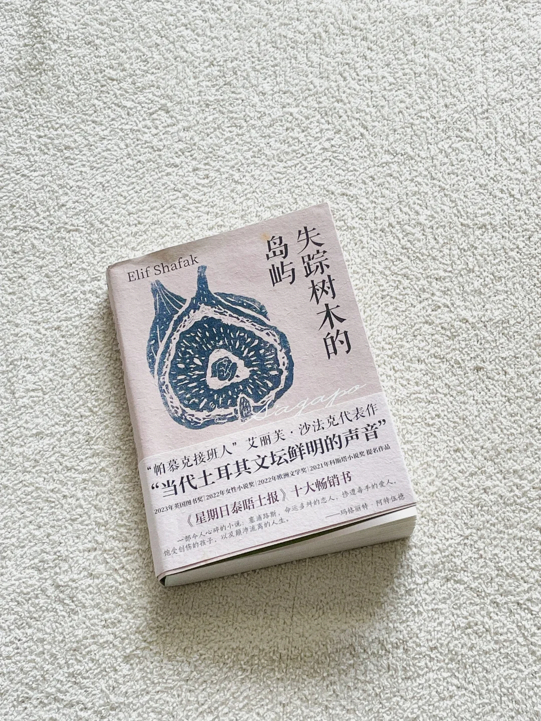 “爱是对希望的大胆肯定”