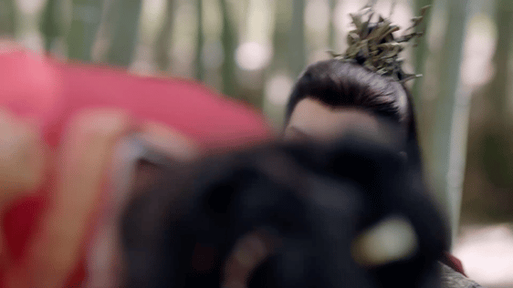 #长乐曲从同归于尽到同床共枕# 这搭伙过日子还是很不容易的，毕竟两个人心里面都不