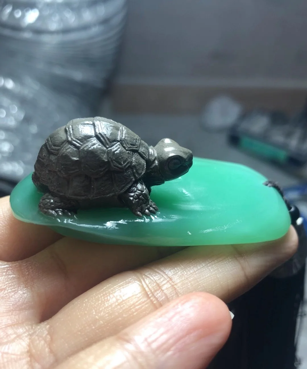 可爱小乌龟