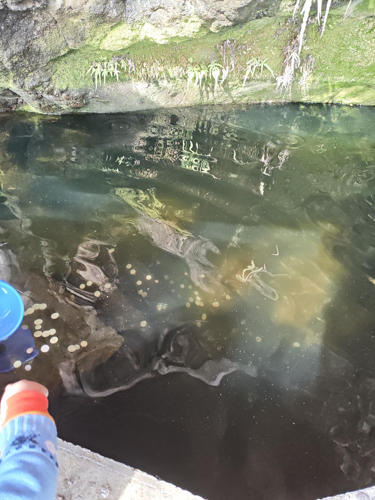 河南商城县观阵山上的神水，听说喝口不生病。游客排队喝