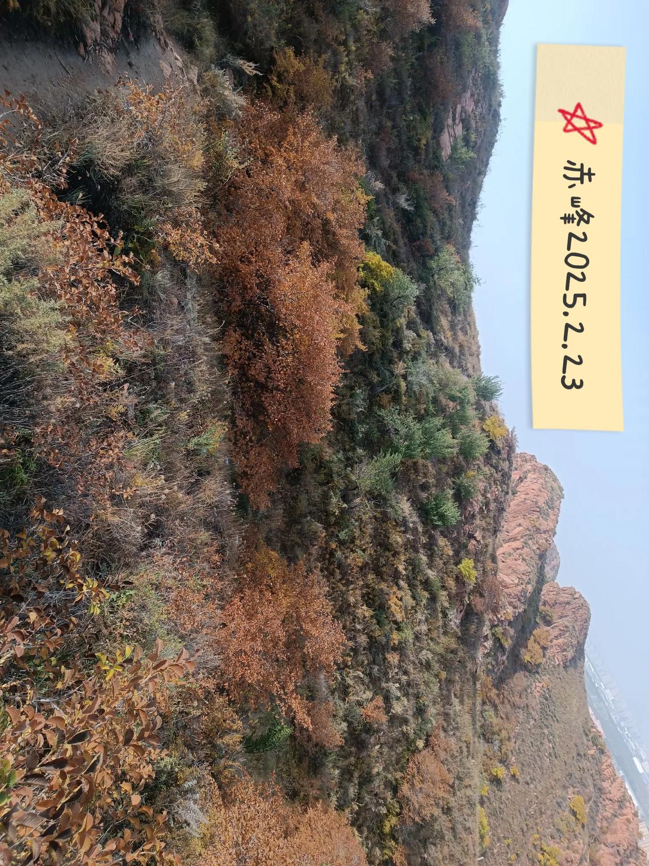 一路山色，随手拍一张风景照游玩随拍，㞲美景。