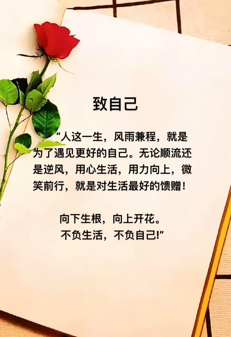 朝有晨光，暮有星光，春有和风，秋有桂香，四季更迭，皆是馈赠
于寻常日子里，拾一份