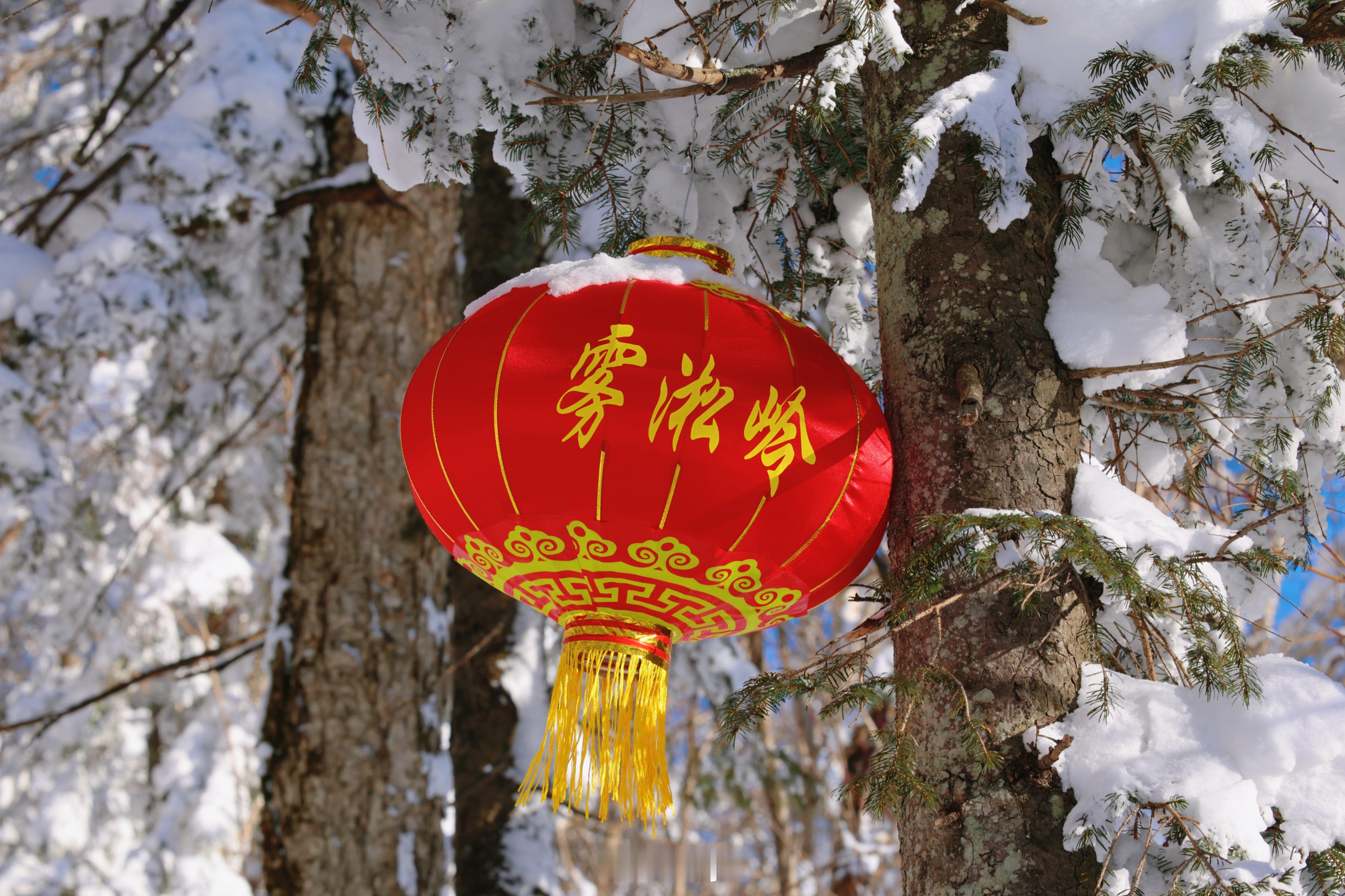 冬日胜景  欢乐冰雪旅游季  一到冬日，雪乡那绝美的雪景便会浮现在大多数人的脑海