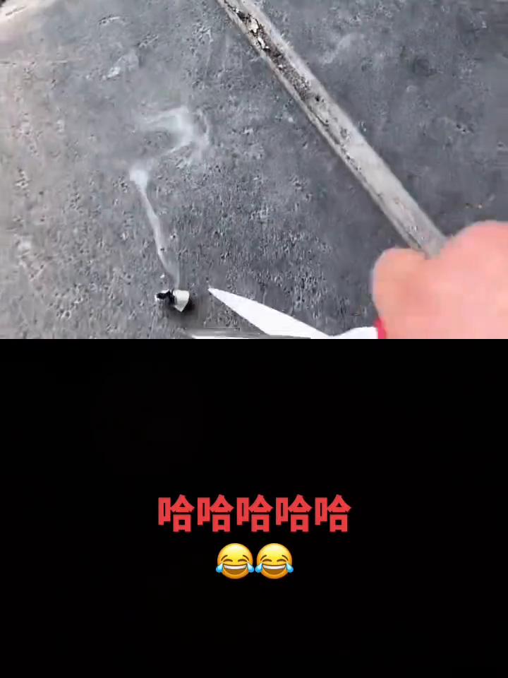 这波操作都看傻了。