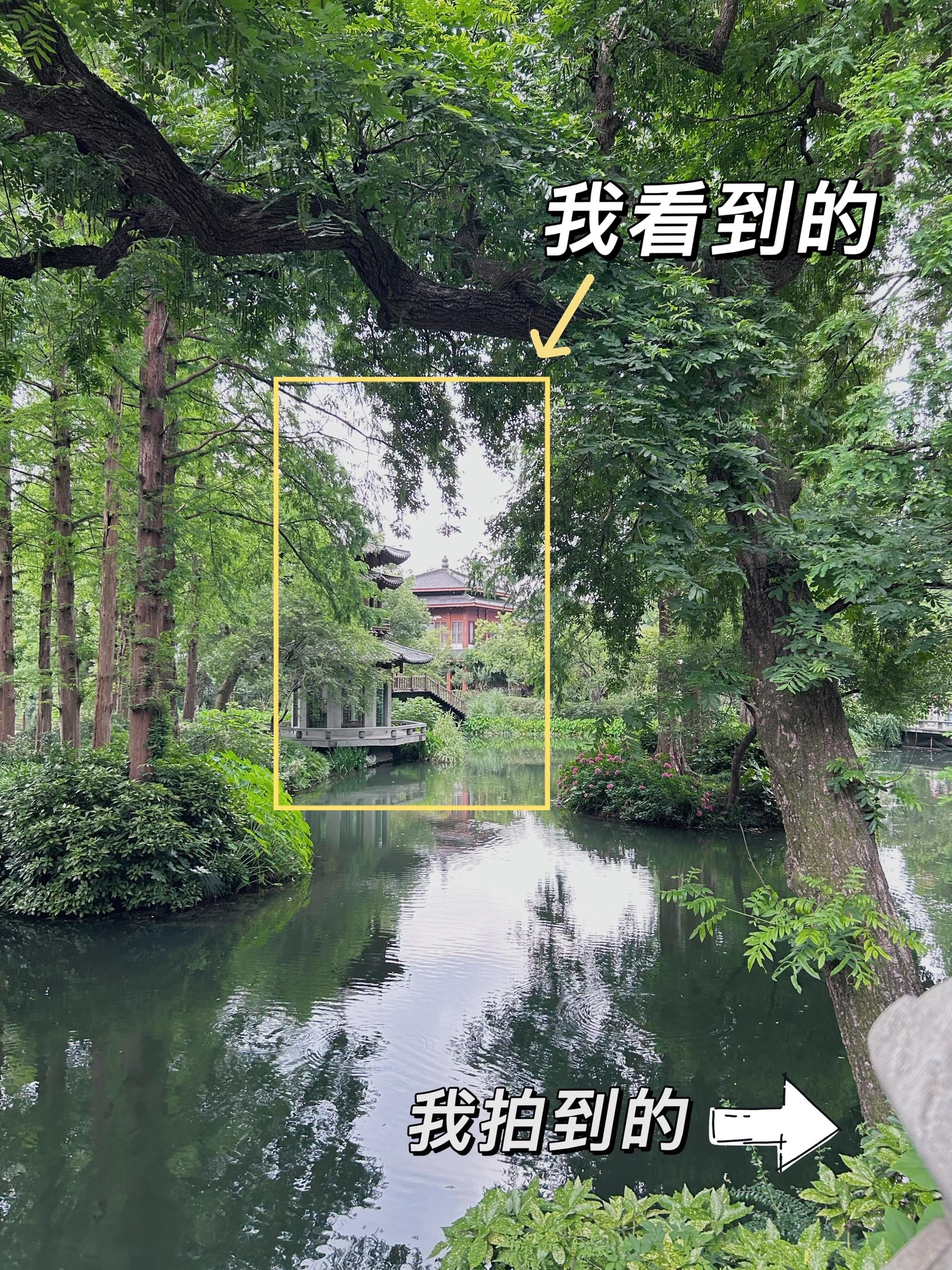 构图分享｜我看到的VS我拍到的。