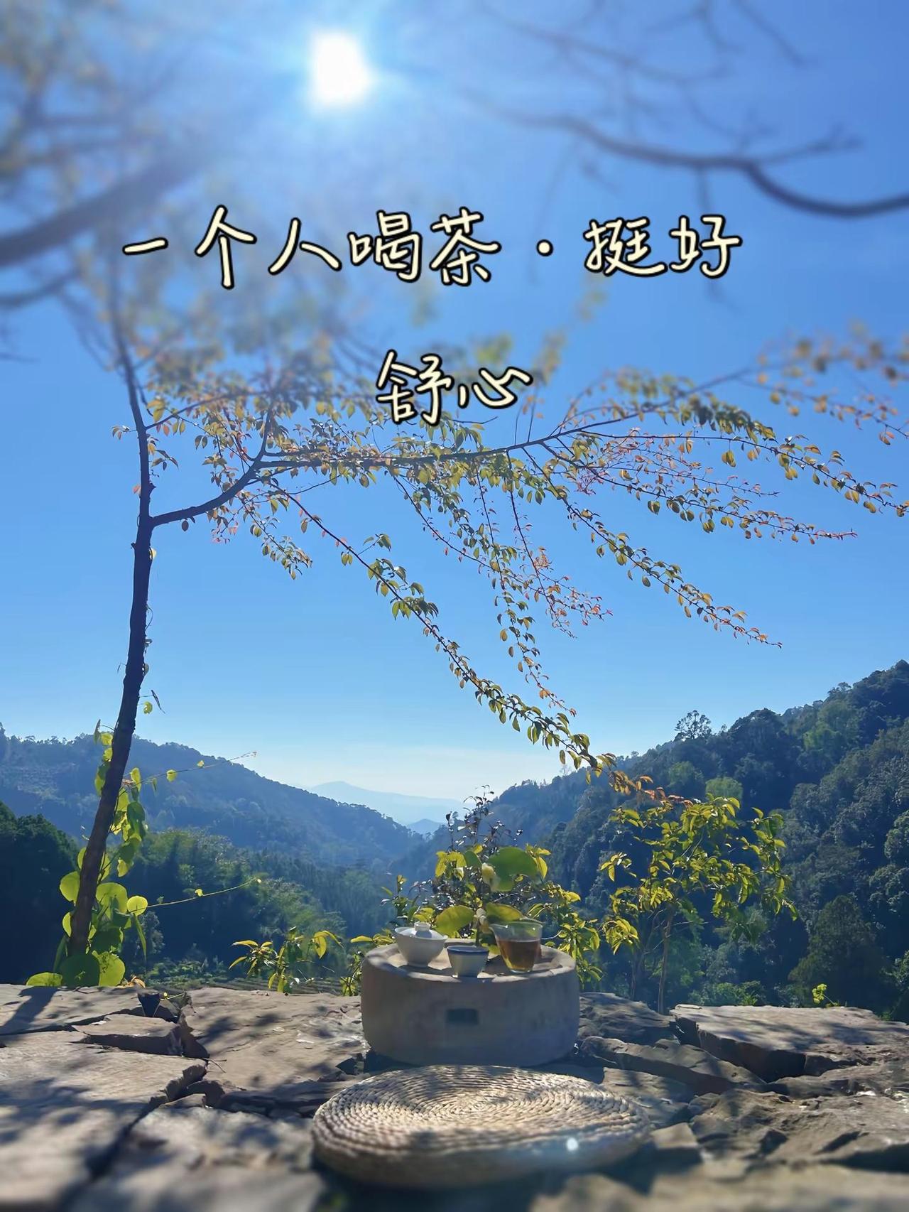 日子是过给自己的，舒心就好。一个人喝茶挺好。治愈系 享受这悠闲时光 茶生活 今天