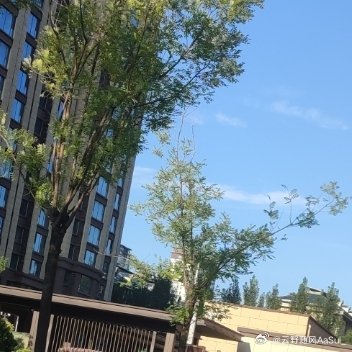 每日一善阳光信用 每日一善阳光信用森林驿站 你呀 总是看到自己身上的小小瑕疵 然
