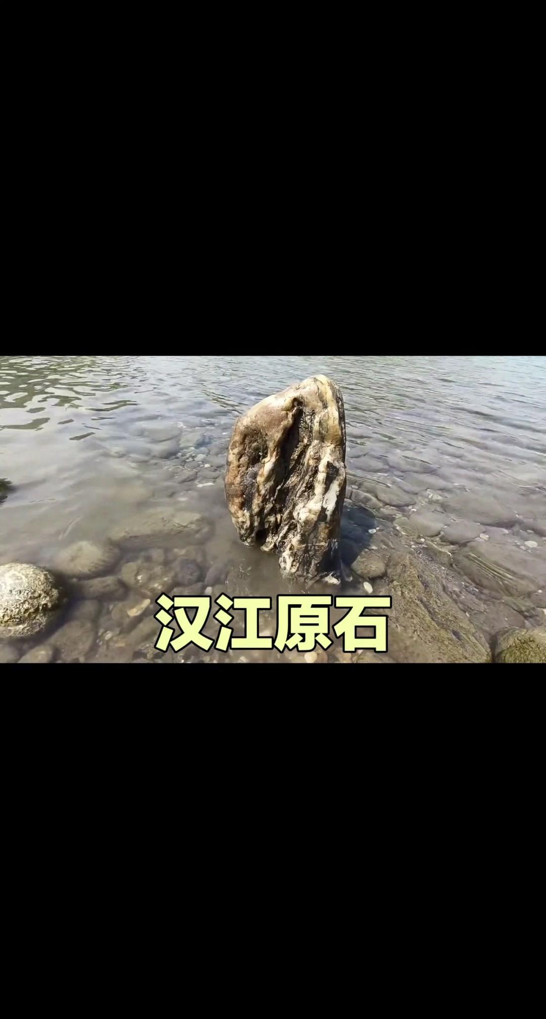 🌊汉江畔捡的石头，每一块都带着天然的纹路，像大地写的诗。有的像流动的浪，有的像