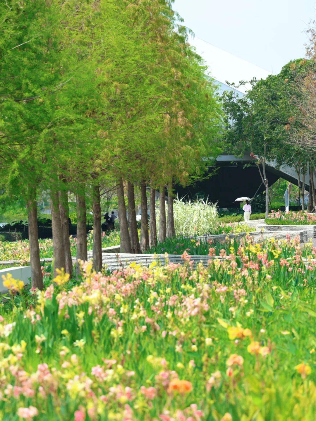 深圳春天超舒服的citywalk 路线🌳（附攻略）