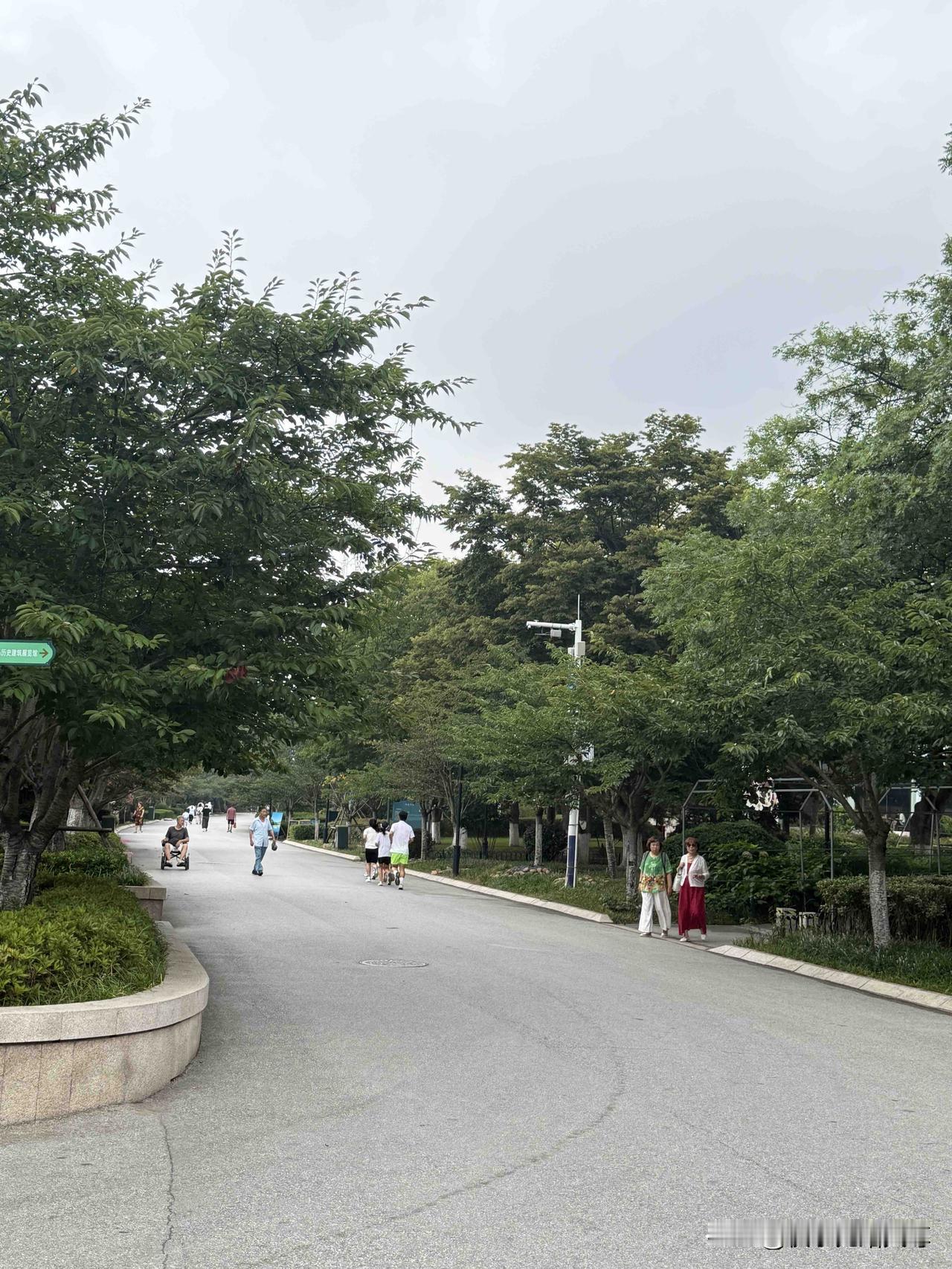 昨天周六我去了青岛中山公园打卡了，随着天气渐渐变凉了一点来公园的人越来越多了特别