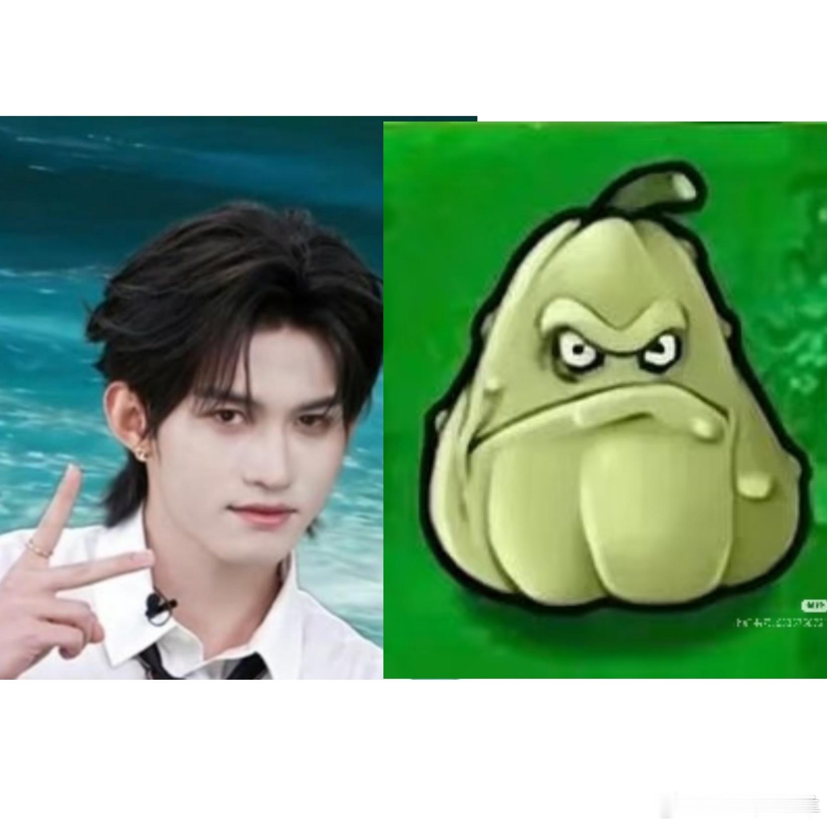 云熠星河🐵🐊送一个倭瓜 