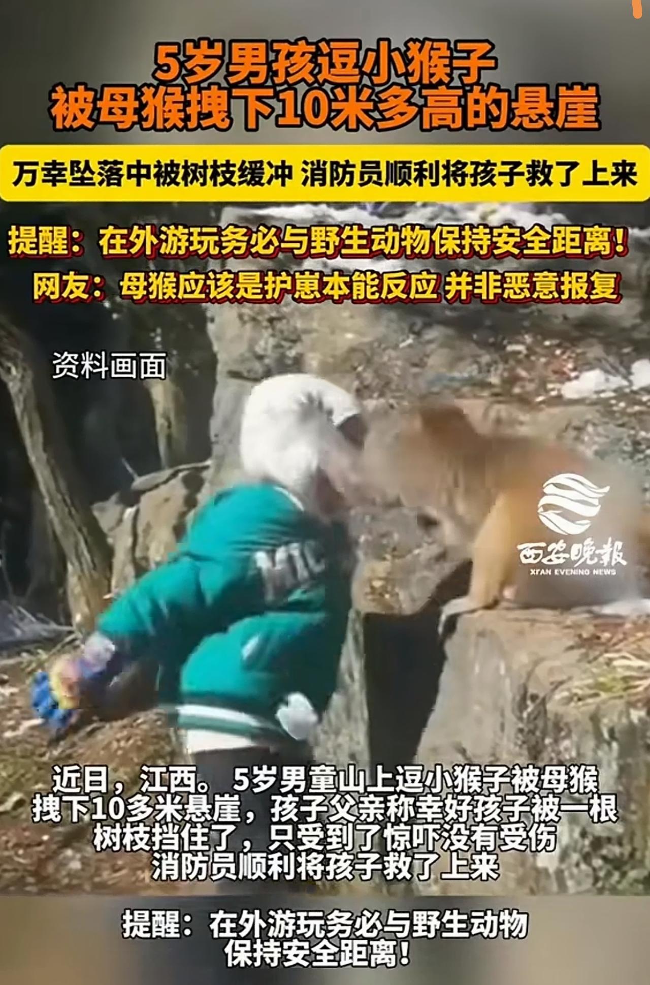 5岁男孩逗猴惊险坠崖，母猴“护崽”反应引发热议！

最近，江西的一段惊险故事刷爆