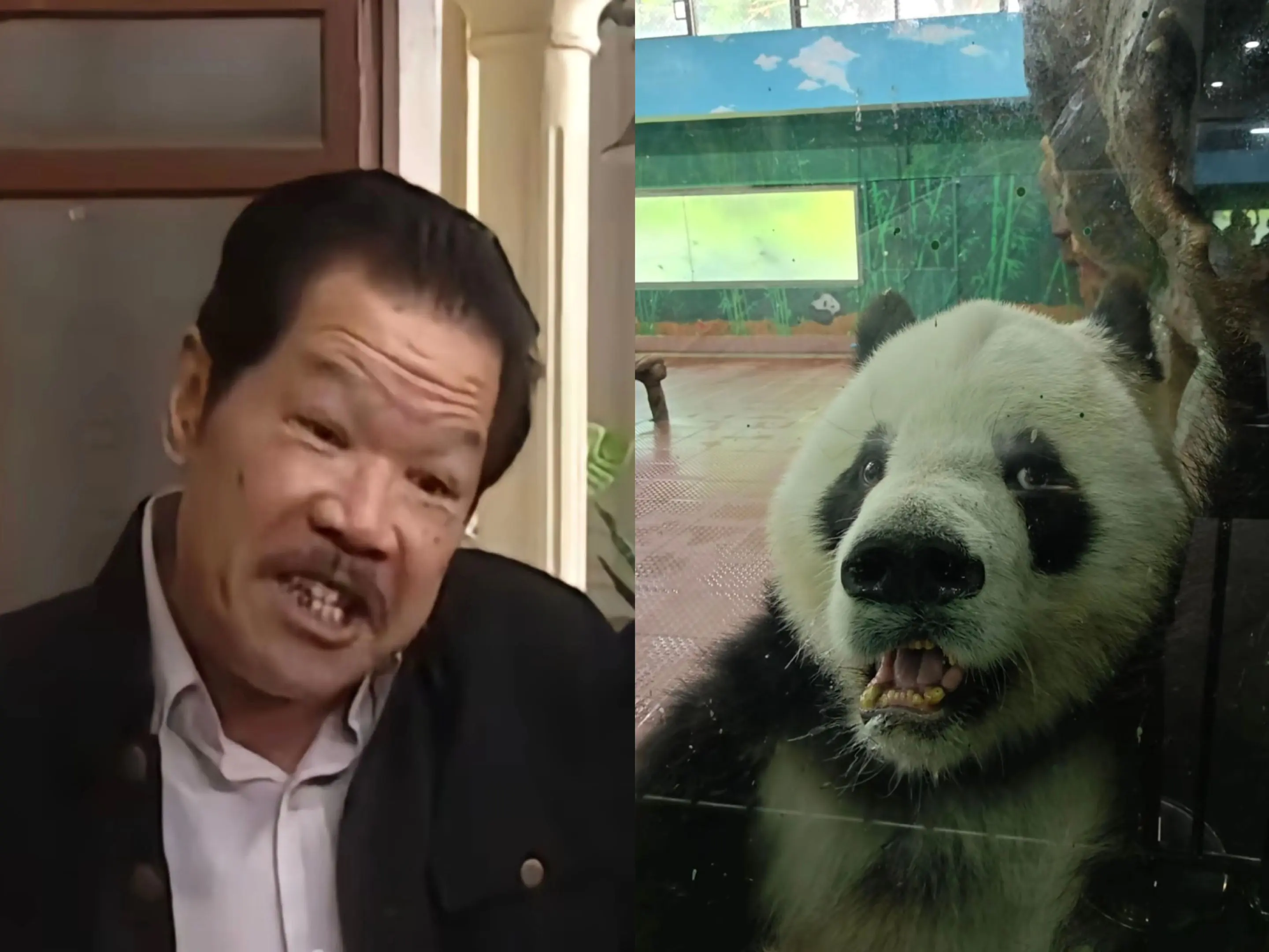 雅一：我唔做包租婆了，我要做牛局长！（牛局长巴闭d！）