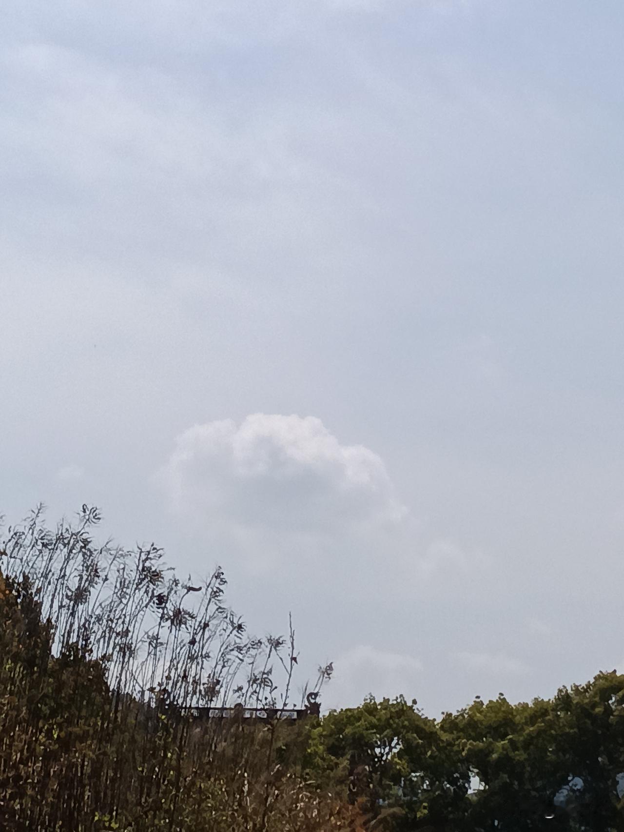 二战之后，为了彻底清除德国的好战分子和思想，北约对德国的压制是最重的，美国在德国