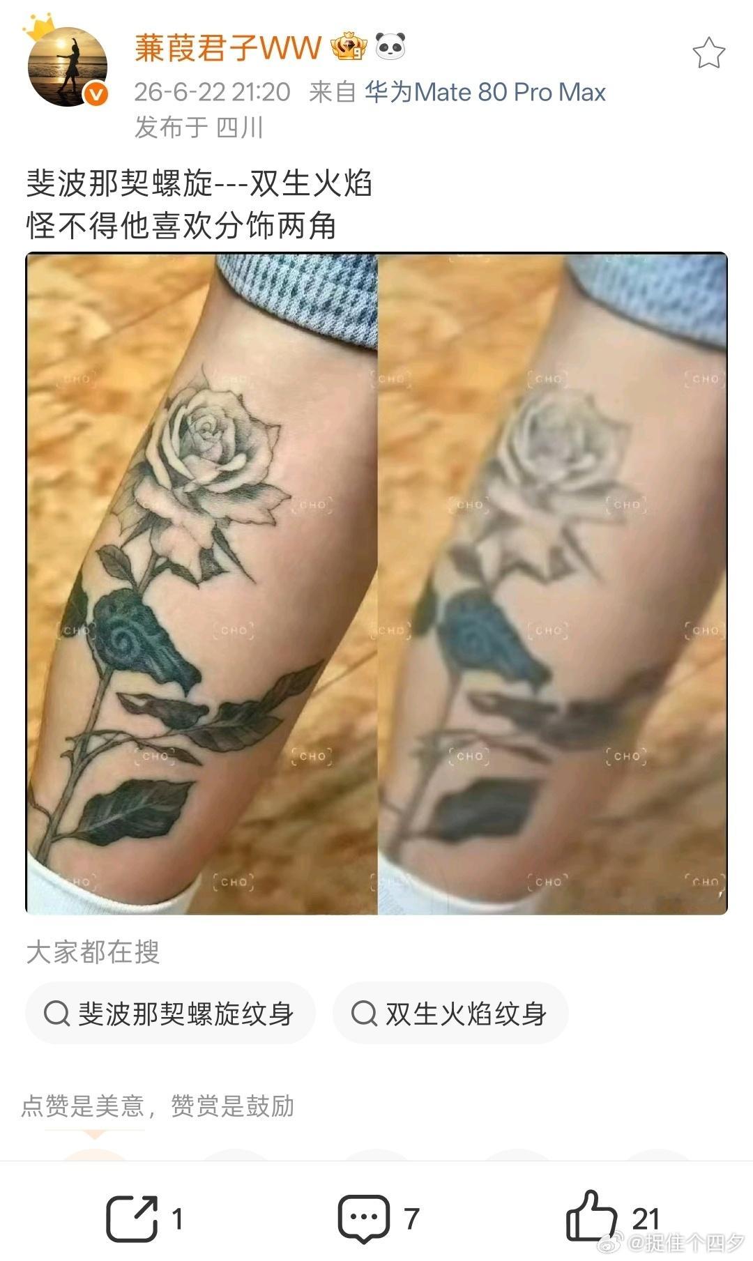 涨知识啦！万物共生的斐波那契螺旋，自然曲线象征灵魂同频、双向奔赴。真是浪漫的双鱼