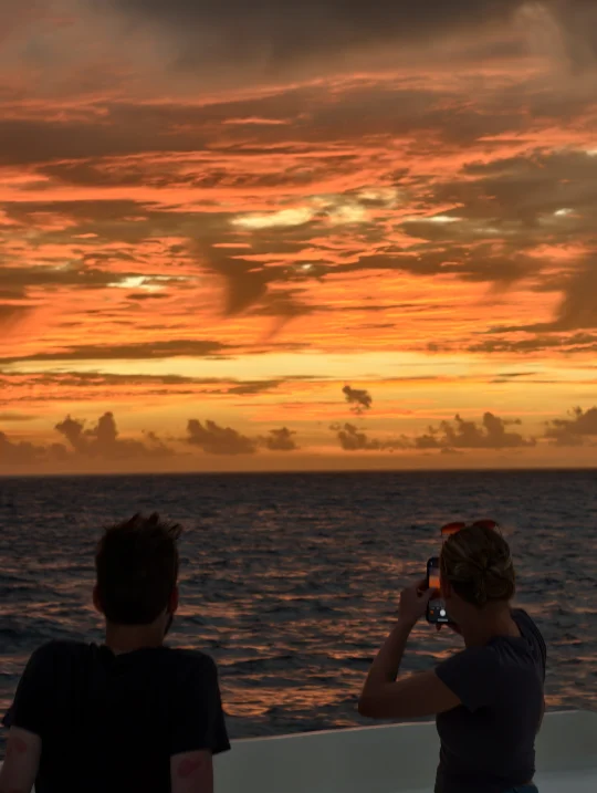 打卡铂尔曼日落🌄