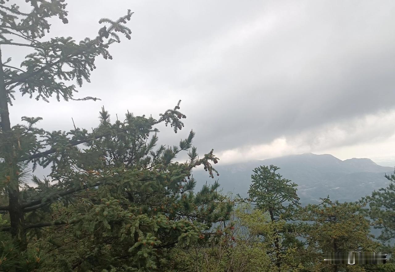 来乡村创业，你要学会把根扎进土里。租农户的房，屋前有炊烟，屋后有竹林；卖农户的菜