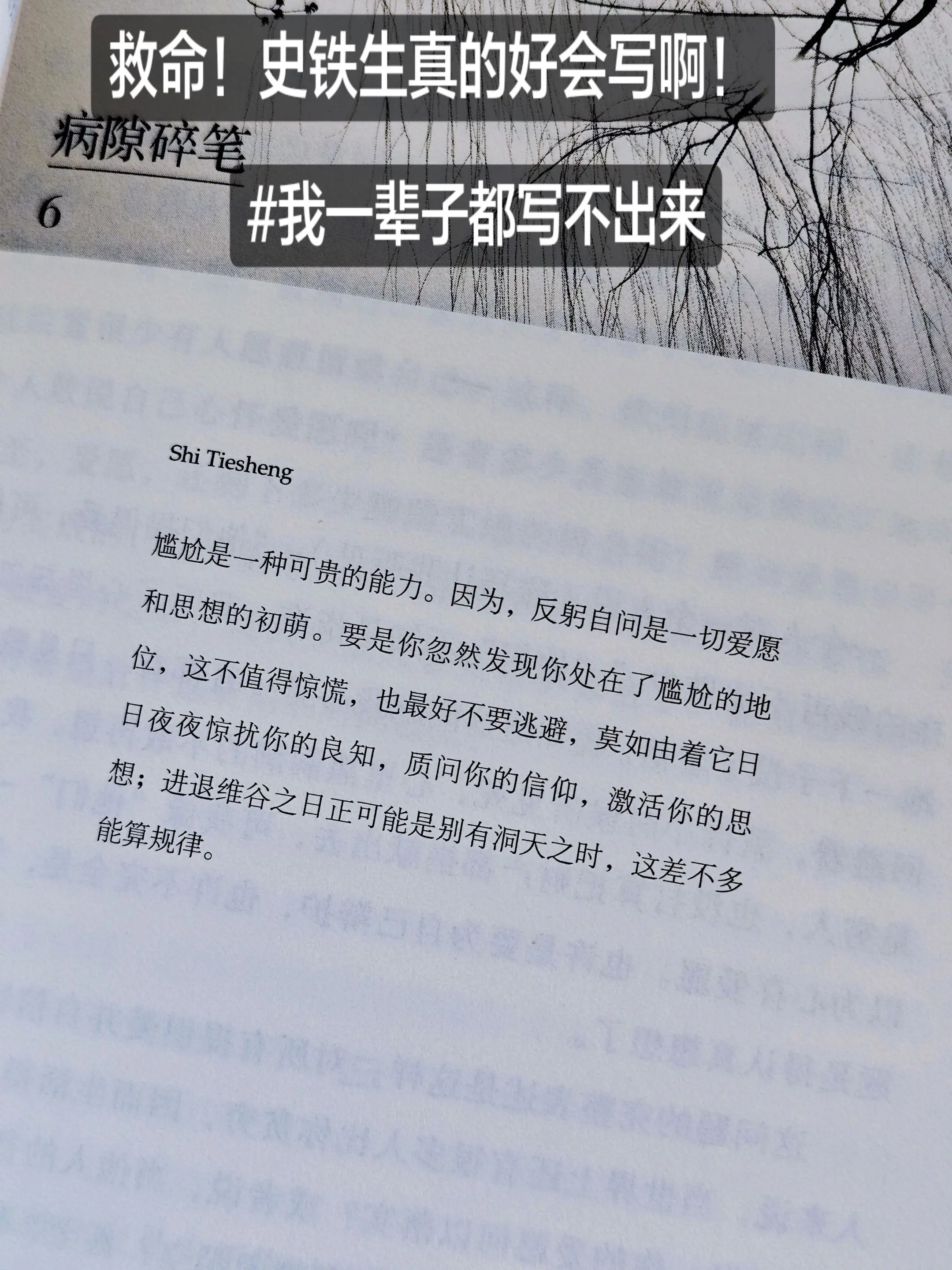 史铁生真的好会写啊！我一辈子都写不出😭。“你之所以感到尴尬，是因为相...