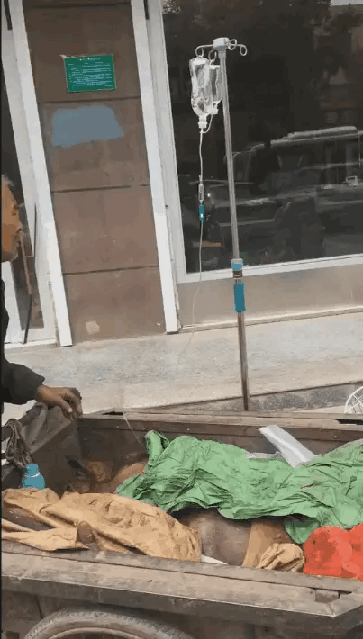 人的狗病了，在给狗看病。看到这个细节，我瞬间哭了，不需要你有多少💰，爱是多少?