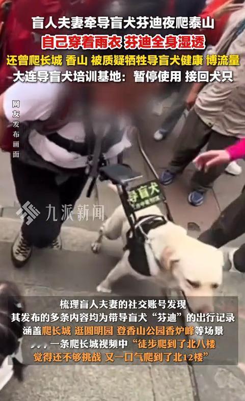 气炸了！导盲犬“芬迪”的状态是不会骗人的，这趟泰山行值不值一目了然。9月17日，
