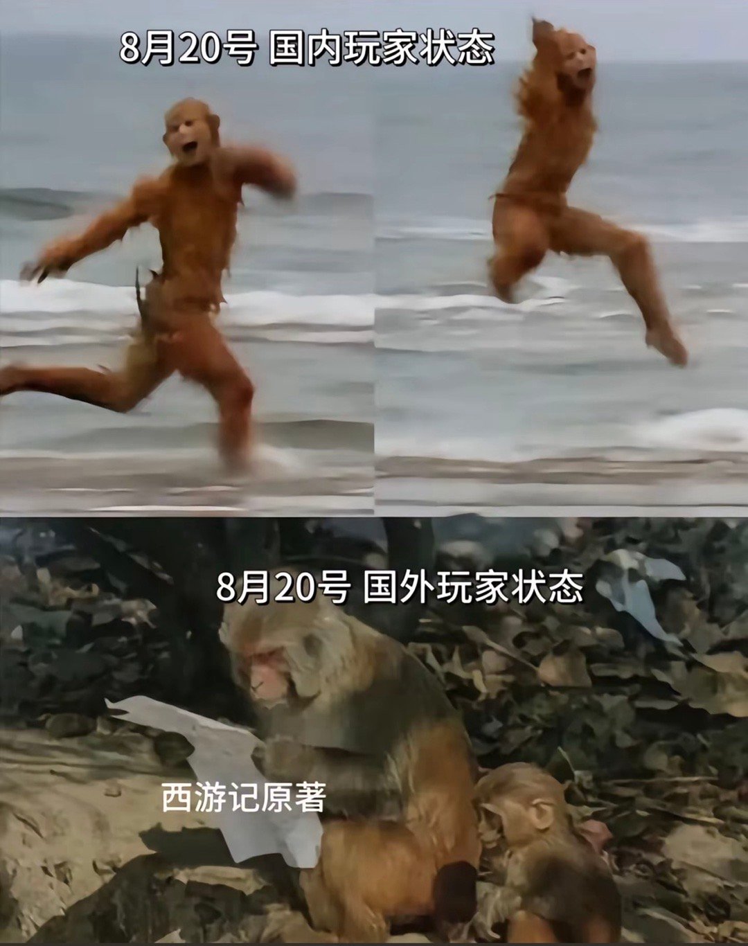 一小时后，无数人的黑猴梦就要被虎先锋打碎了🐒#黑神话悟空# ​​​
