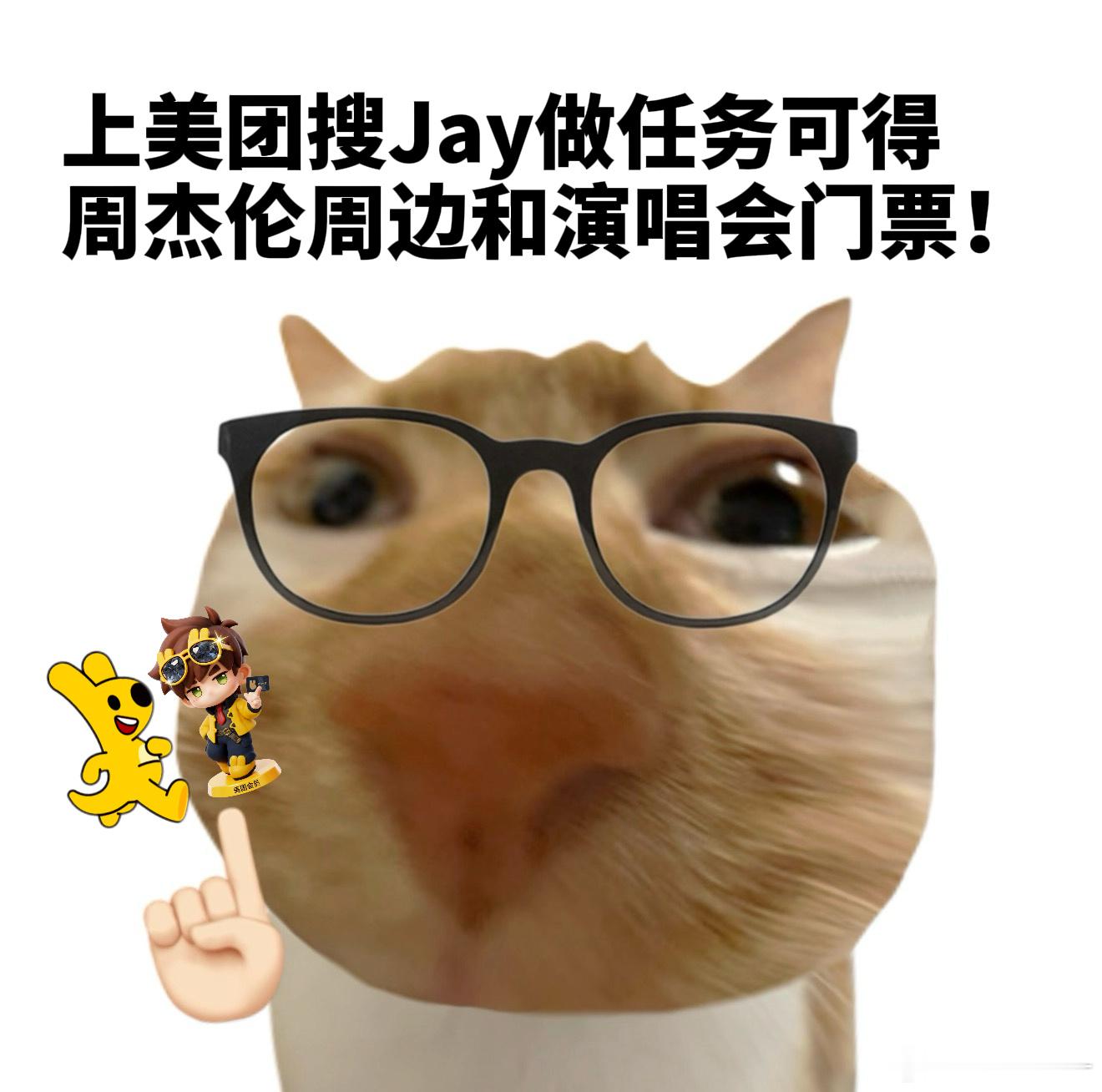 周杰伦个唱首登北京鸟巢年年追周杰伦年年没追上，我真是没招了！不过好在今年靠着美团