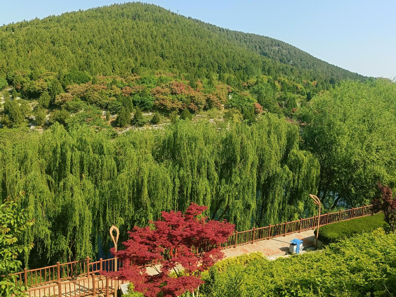 拍一张你所在城市最美的风景照片这是周日在济南金鸡岭山体公园‌傍的历阳湖畔随手拍的