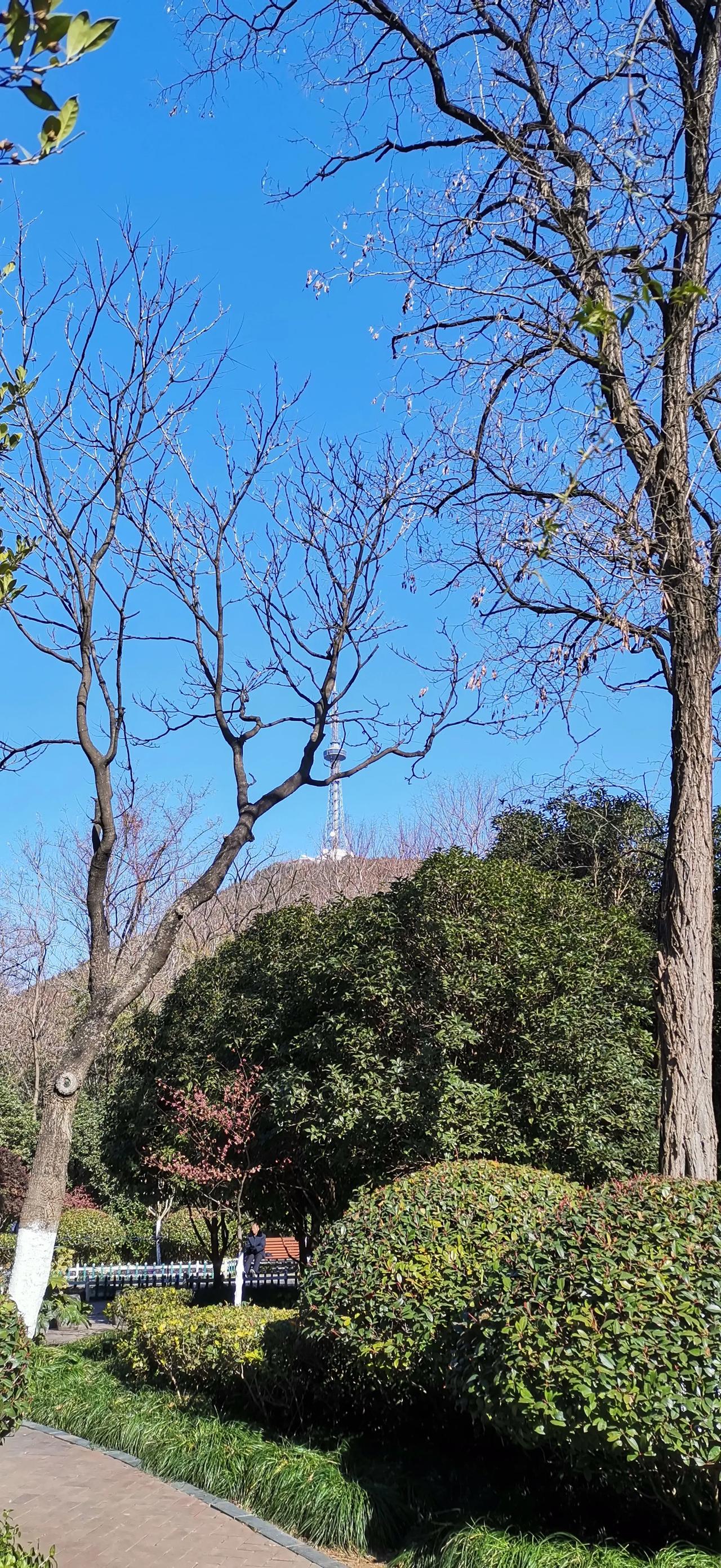 冬日生活打卡季