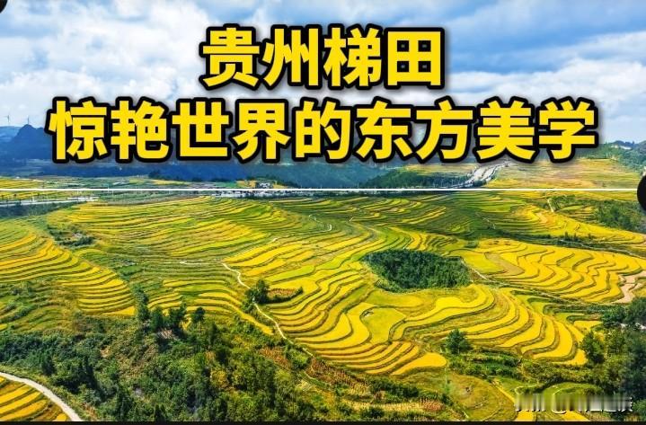 外交部发言人毛宁，把贵州梯田音乐会分享给全世界。
把舞台安放在层层梯田之中，大山