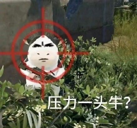 大眼继续改，再改没人了 