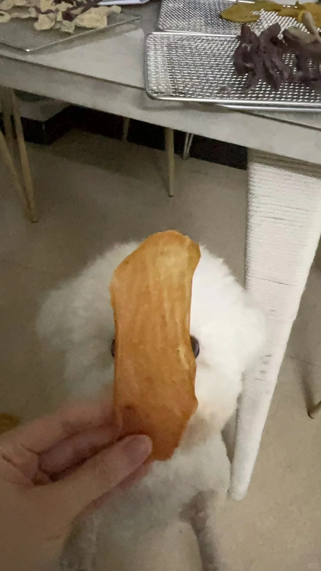 跟狗腿一样长的那么大鸡肉薯片