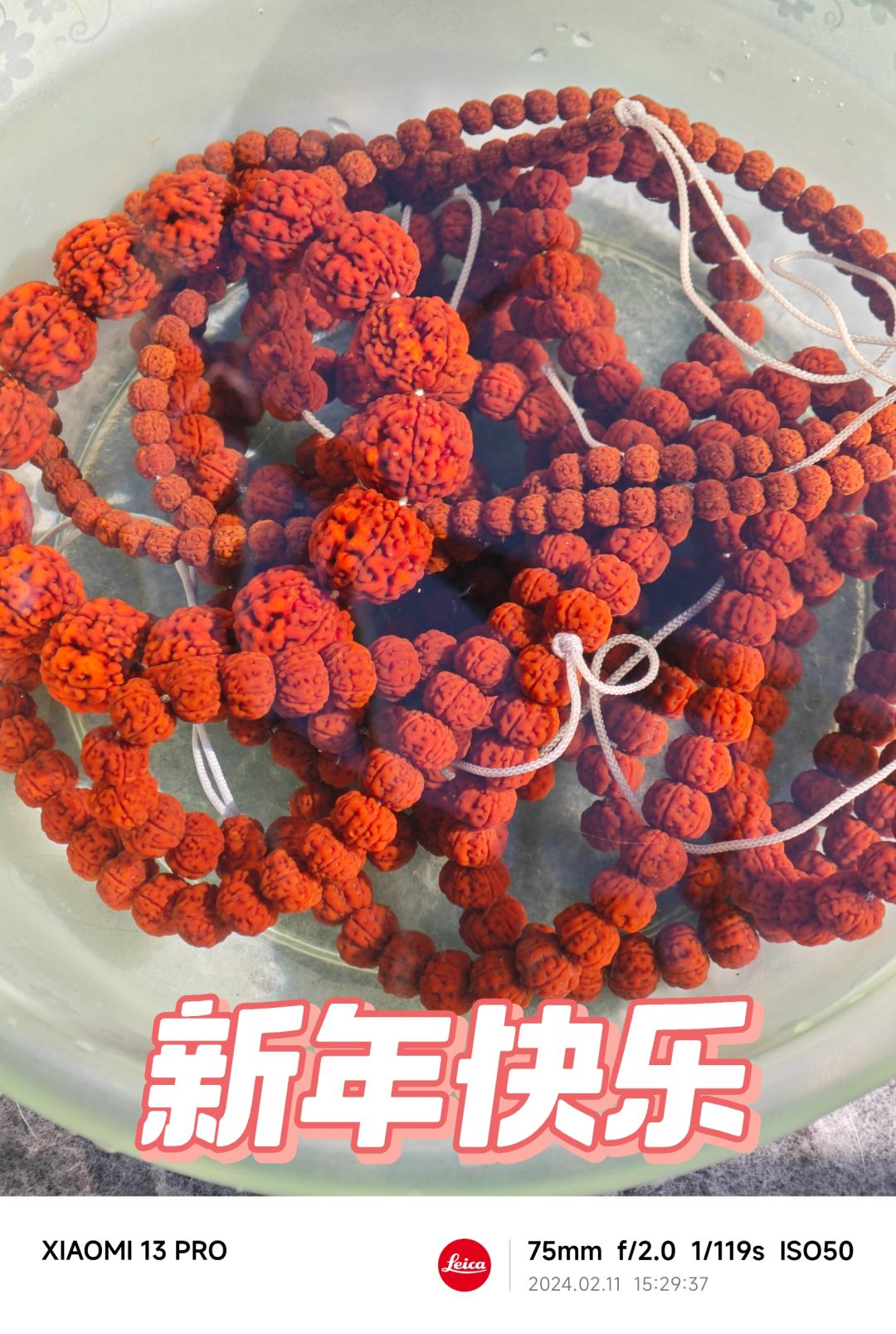 NO.383 新年新金刚，下水泡个澡