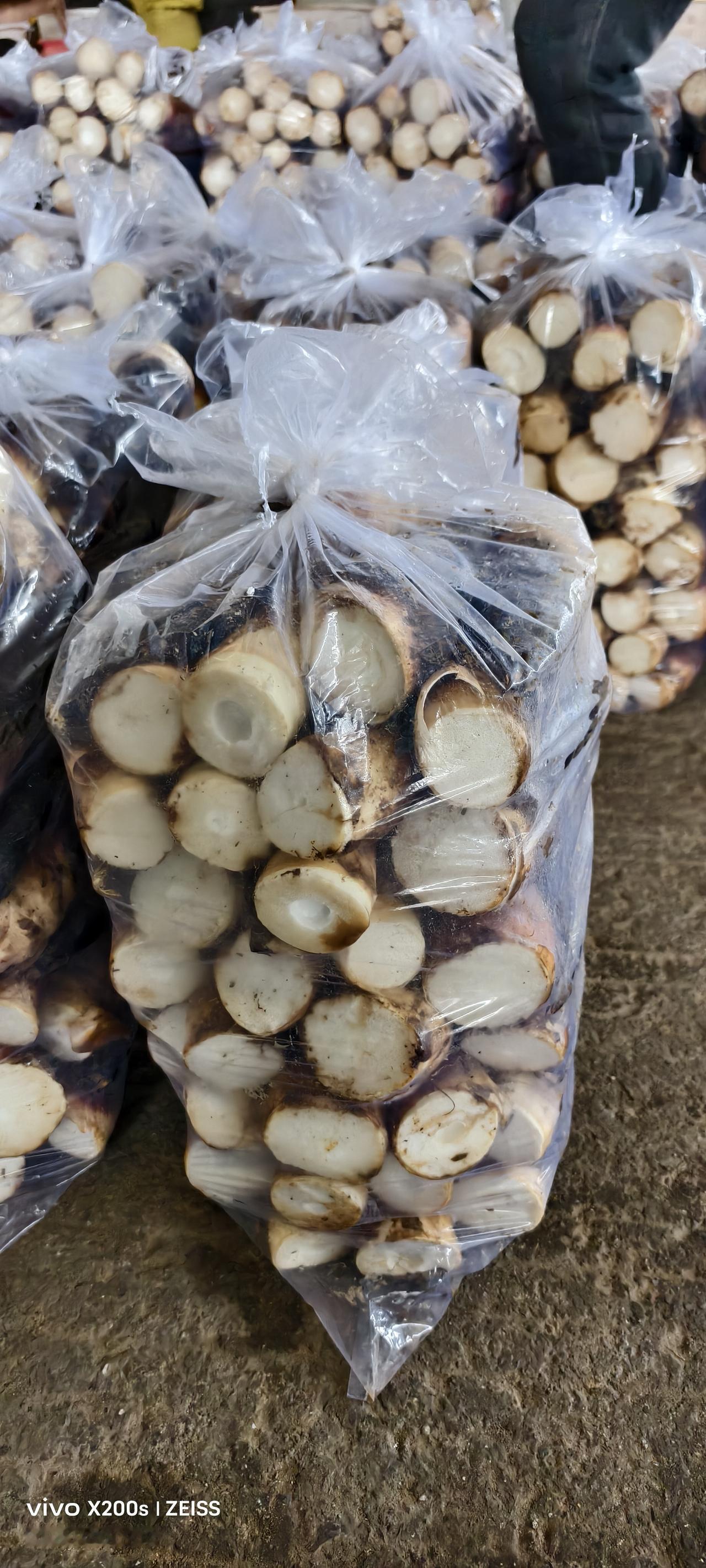 南通生活小记：30元买20斤鲜竹笋，一整年都可以随时尝鲜

到南通才两个月，我们