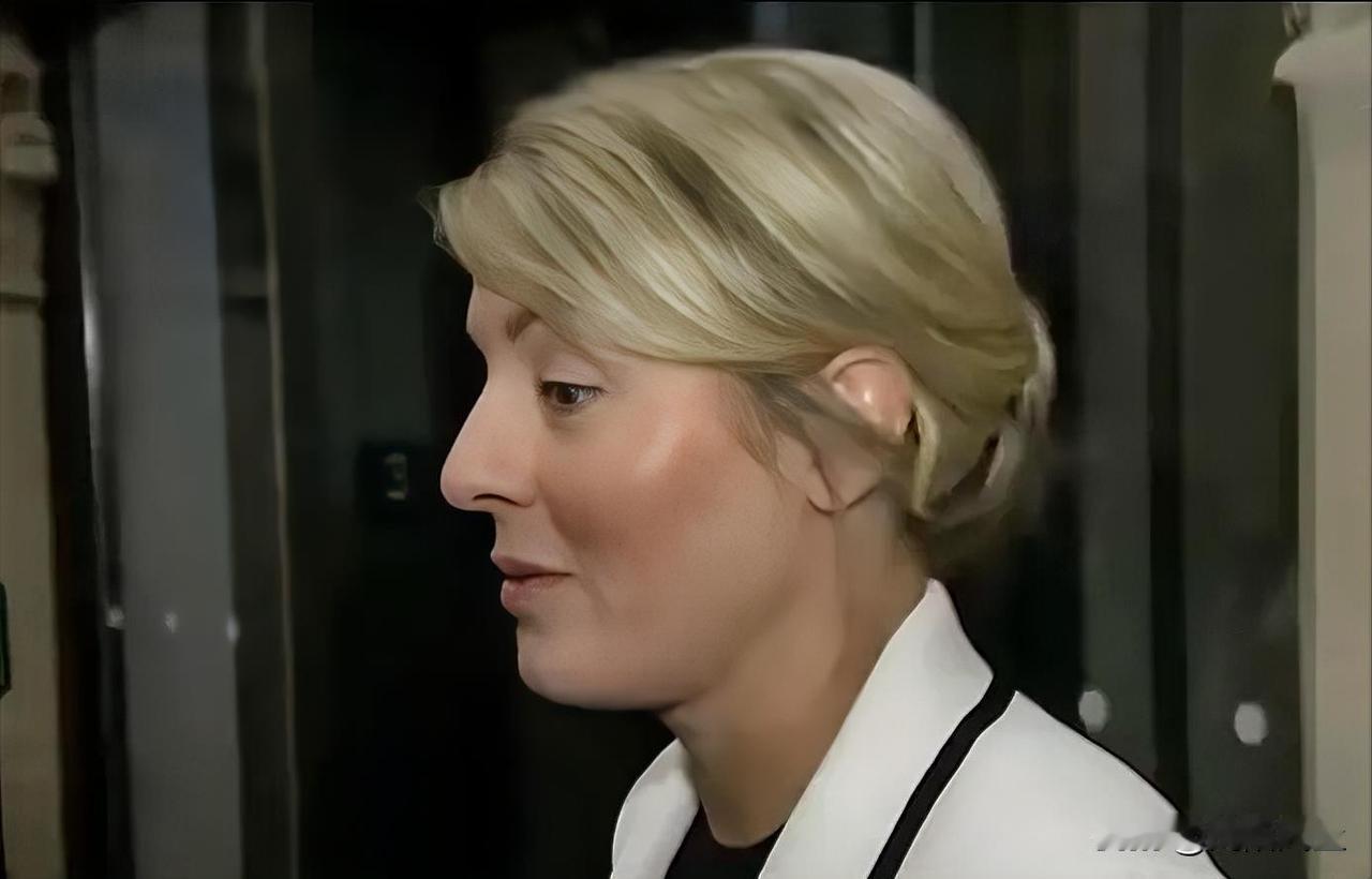 加拿大工业部长梅拉妮·乔利谈及特朗普威胁阻止戈迪·豪大桥开通时表示：“每当特朗普