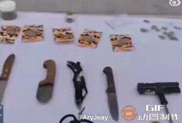 #伊朗多地发生骚乱# 
1月11日收网行动
伊朗安全部门在中央省逮捕了数名恐怖分