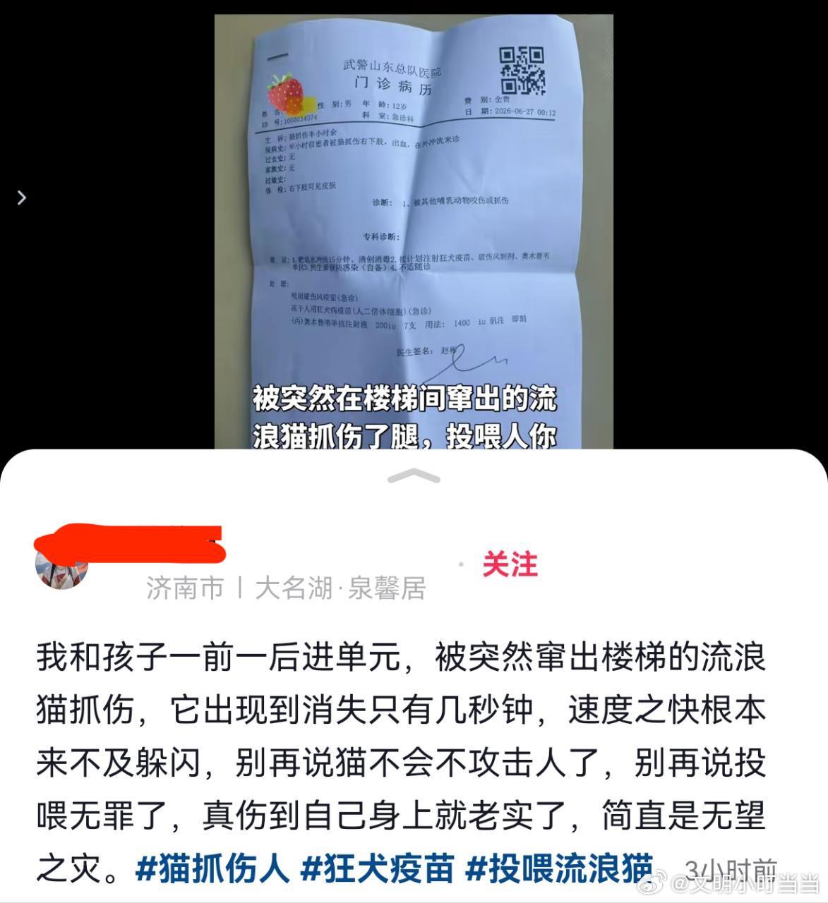 又一个宝妈的孩子被流浪猫主动攻击了。可以找物业索赔医药费、误工费等。能找到经常投