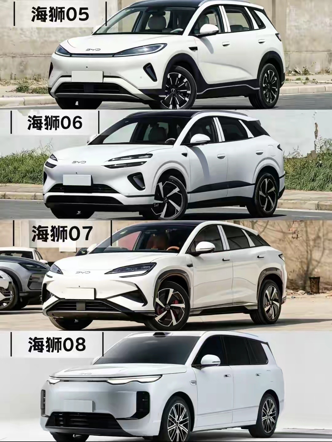 从10万到35万，比亚迪海狮05、06、07、08全到位，迪子直接凑齐了一副牌了