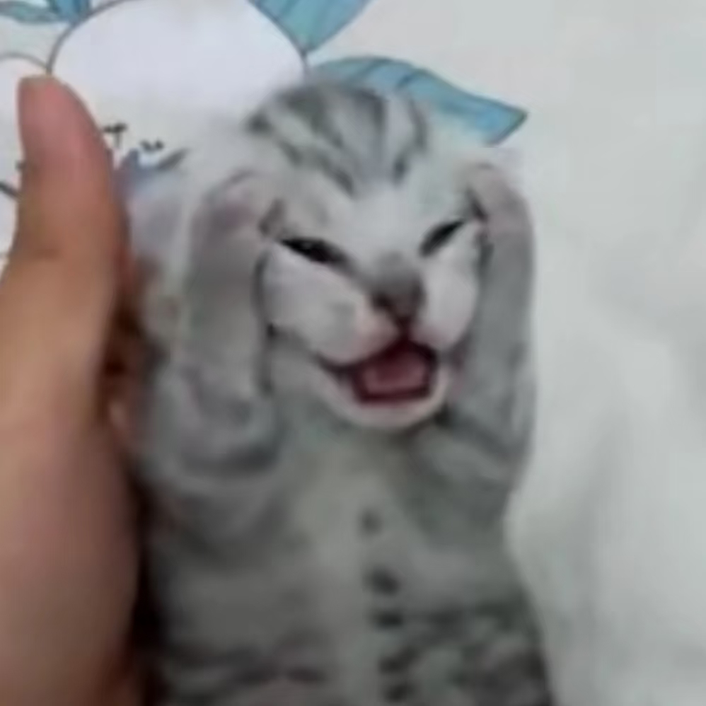 重庆主城区没有大润发但是区县有啊，能不能带上区县玩啊 